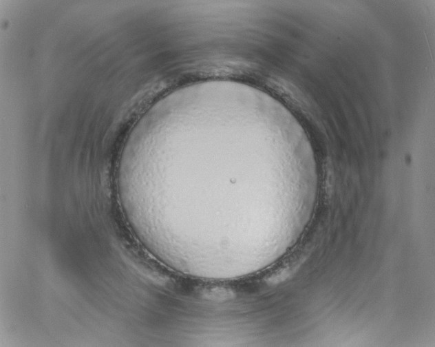 X0000060810258200512082222