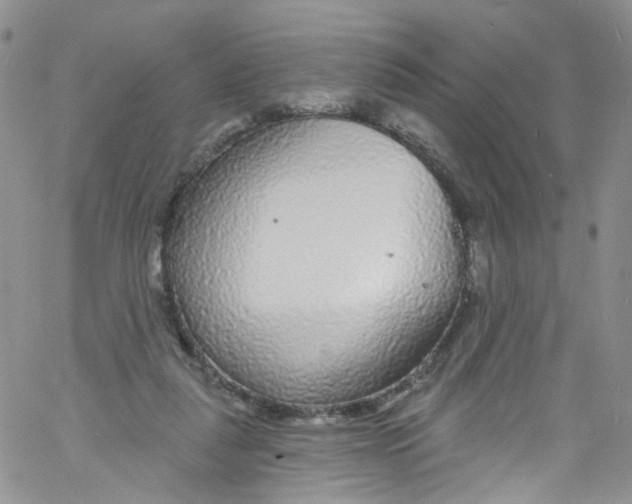 X0000060810259200512082222