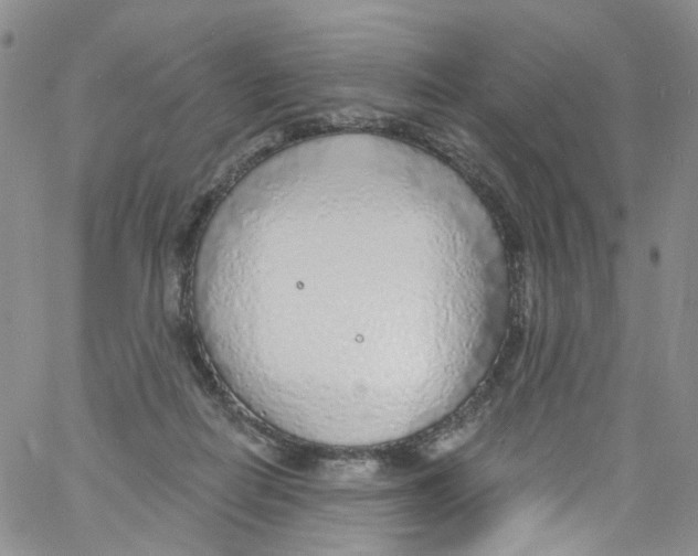X0000060810266200512082222