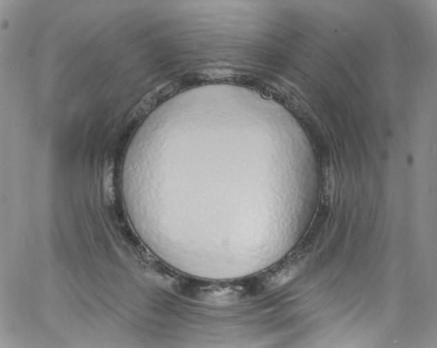 X0000060810267200512082222