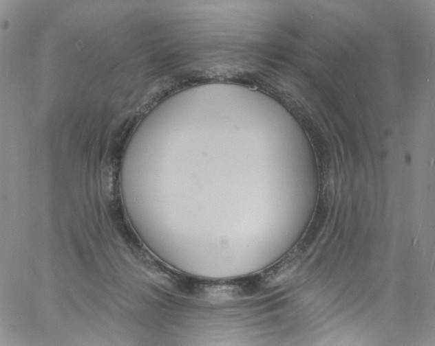 X0000060810268200512082222