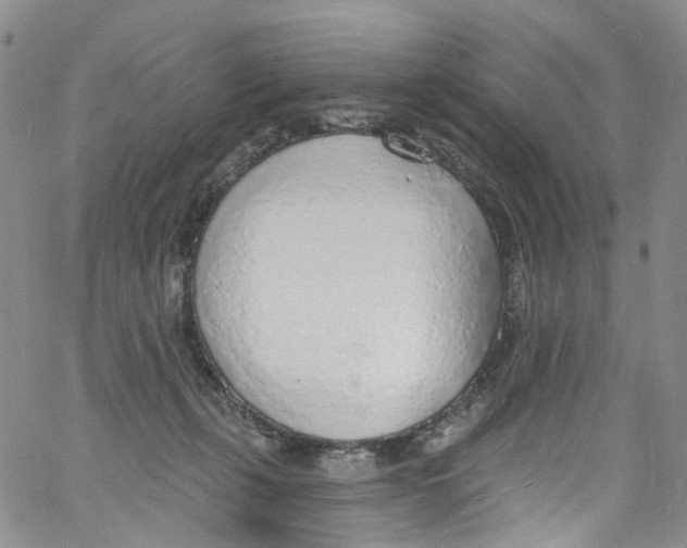 X0000060810271200512082223