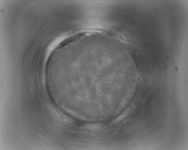 X0000060810294200512082222