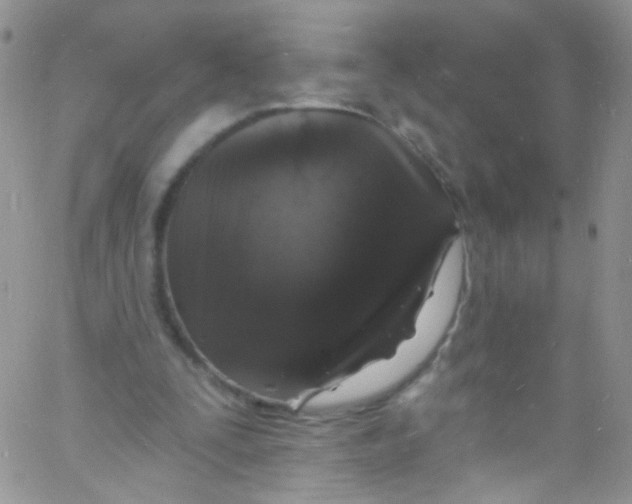 X0000060810295200512082222