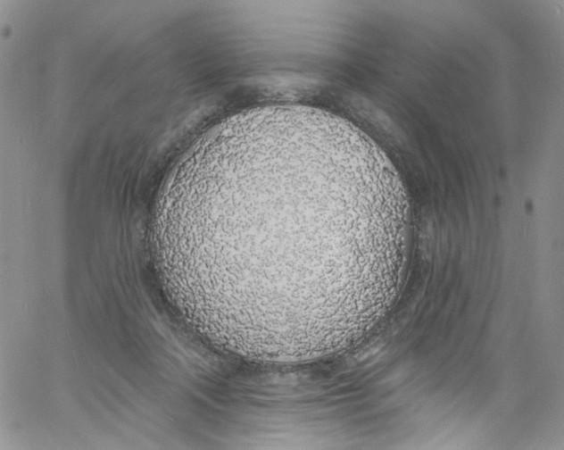 X0000060810314200512082222