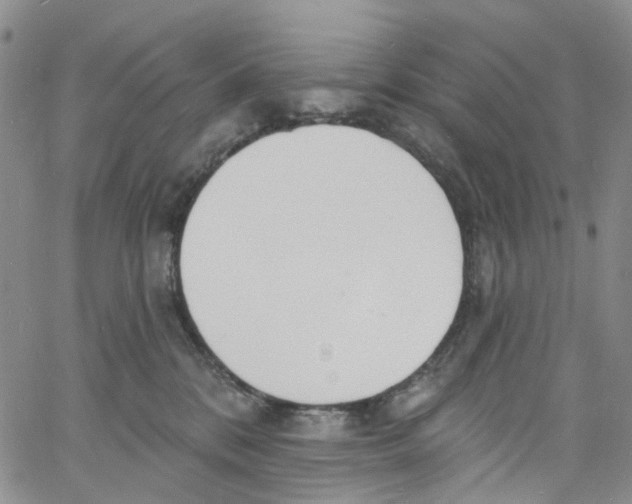 X0000060810328200512082221