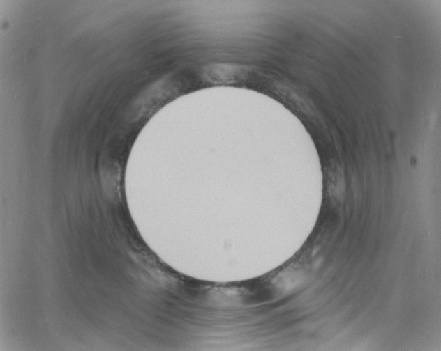 X0000060810332200512082221