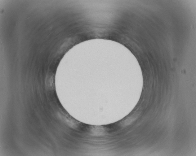 X0000060810336200512082221