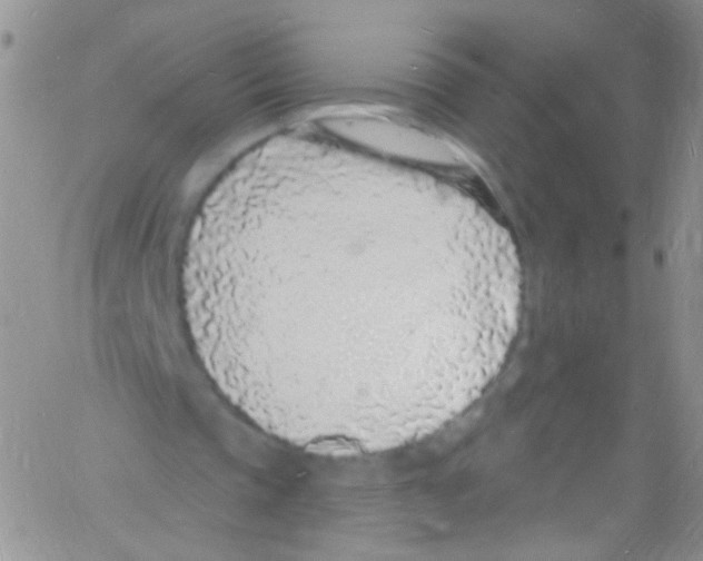 X0000060810337200512082220