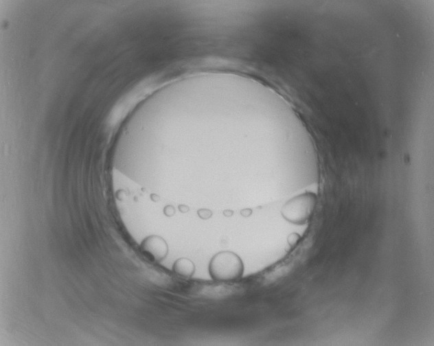 X0000060810341200512082220
