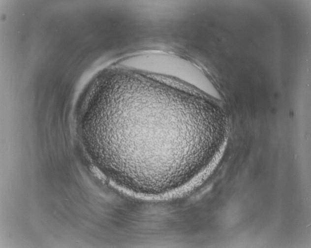 X0000060810343200512082220