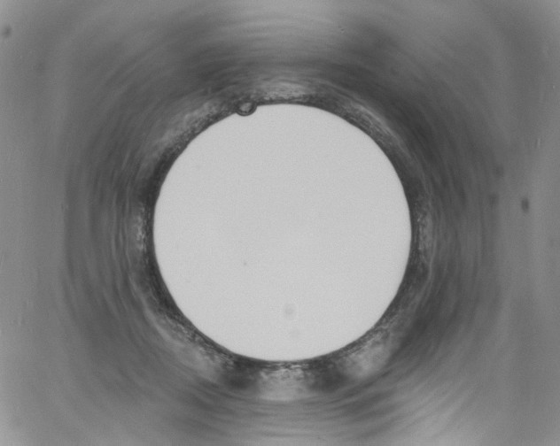 X0000060810362200512082221