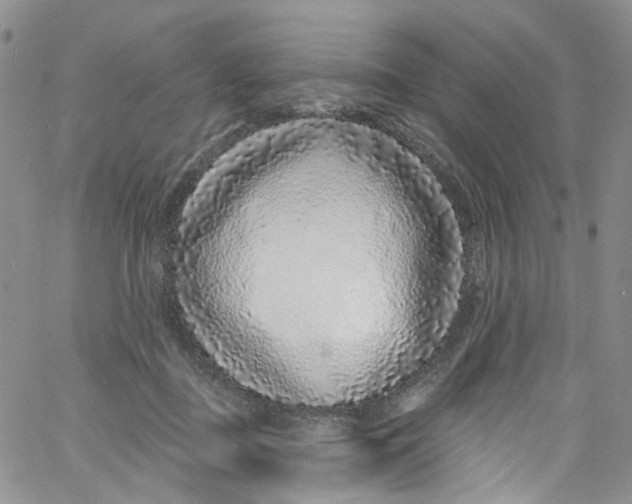 X0000060810363200512082221