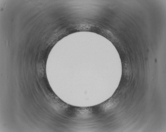 X0000060810370200512082221