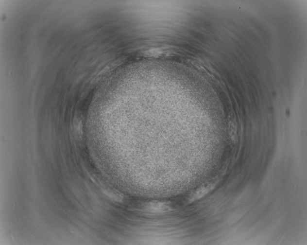 X0000060810375200512082221