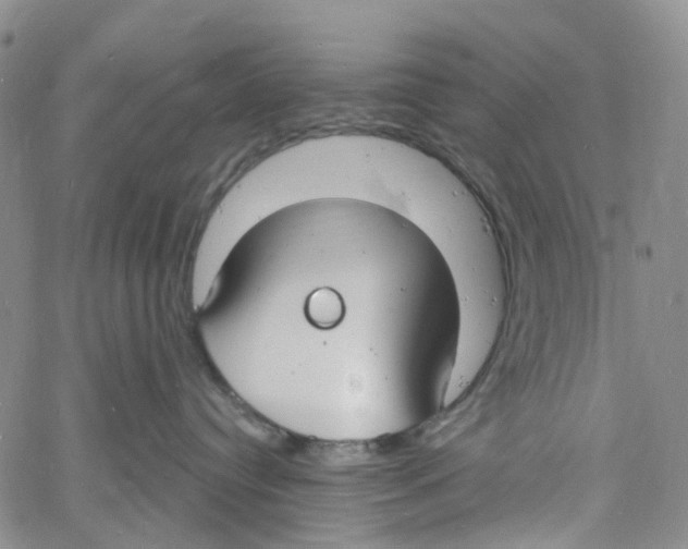 X0000060810384200512082221