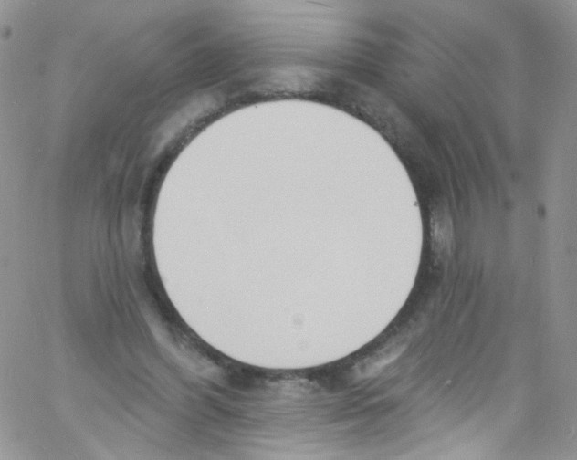 X0000060810396200512082220