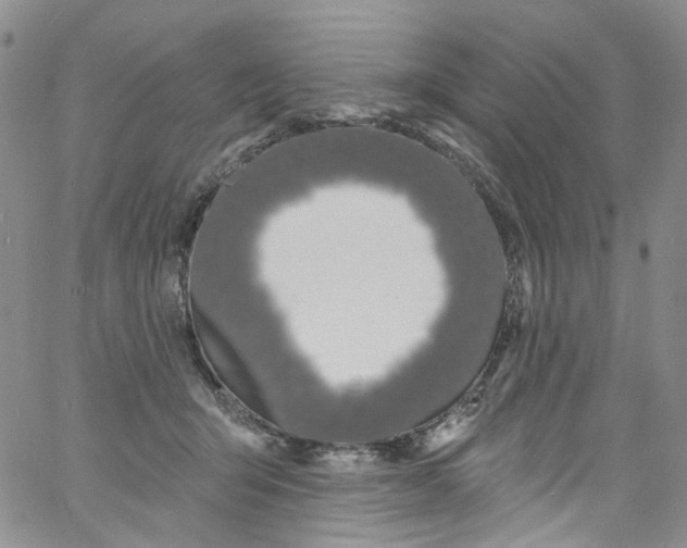 X0000060810415200512082220