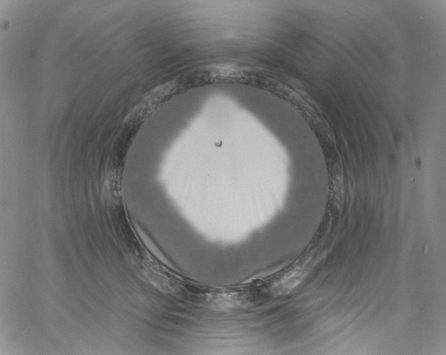 X0000060810419200512082220