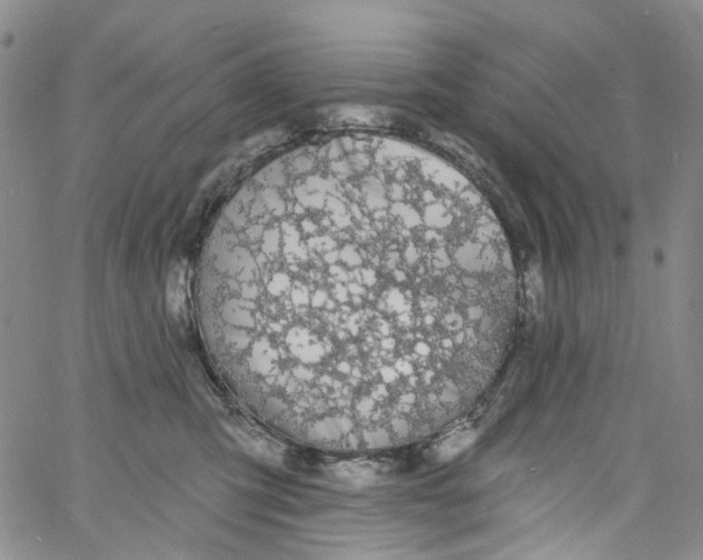 X0000060810423200512082220