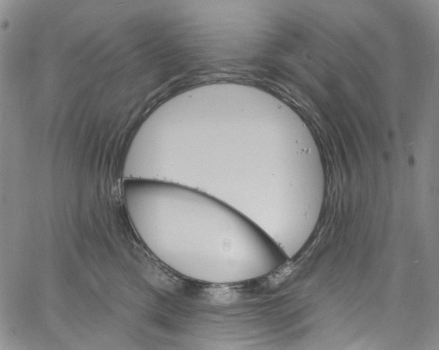 X0000060810425200512082220