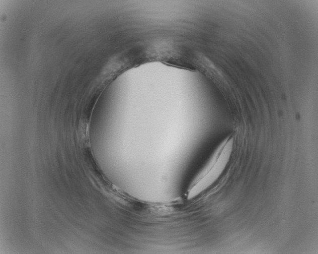 X0000060810429200512082220