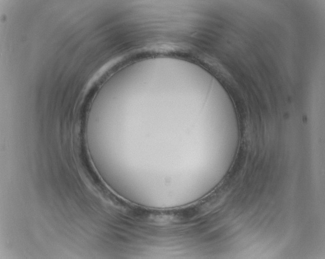 X0000060810440200512082219