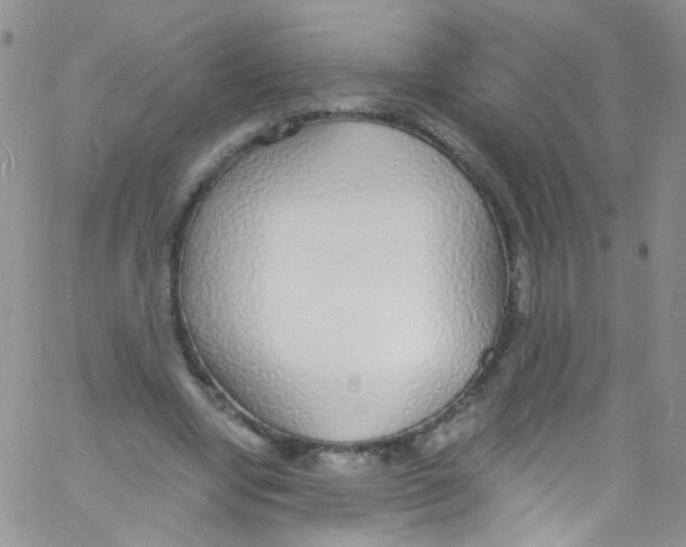X0000060810442200512082219