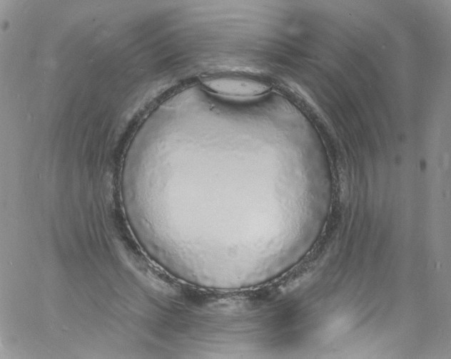 X0000060810447200512082219