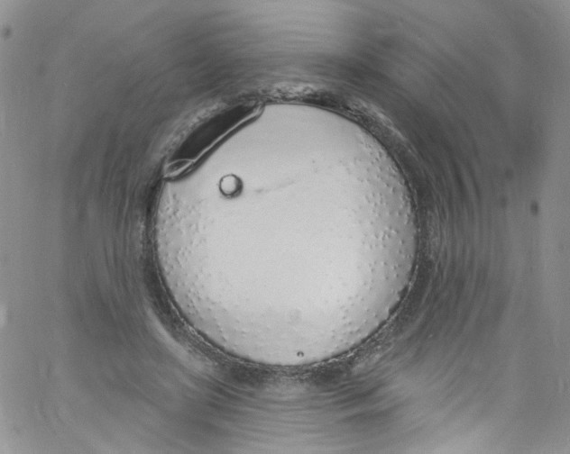 X0000060810451200512082219