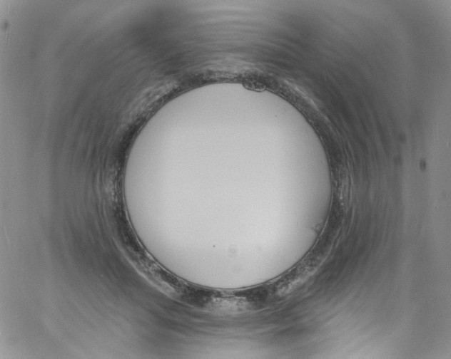 X0000060810455200512082219