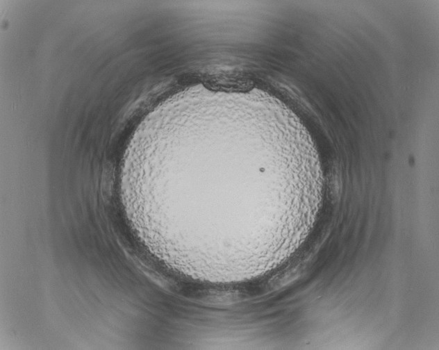X0000060810458200512082219