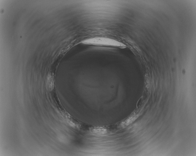 X0000060810471200512082219