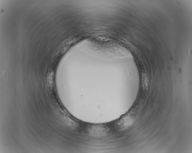 X0000060810475200512082219