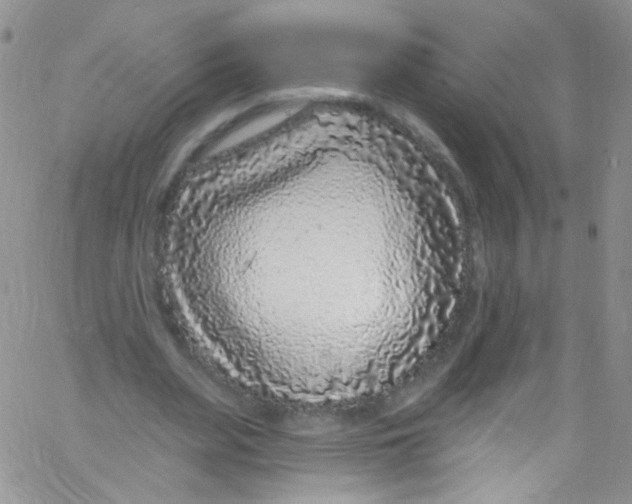 X0000060810487200512082219