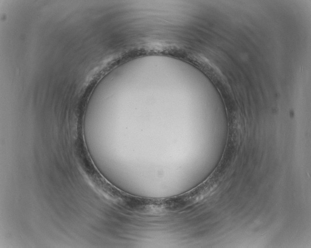 X0000060810496200512082219