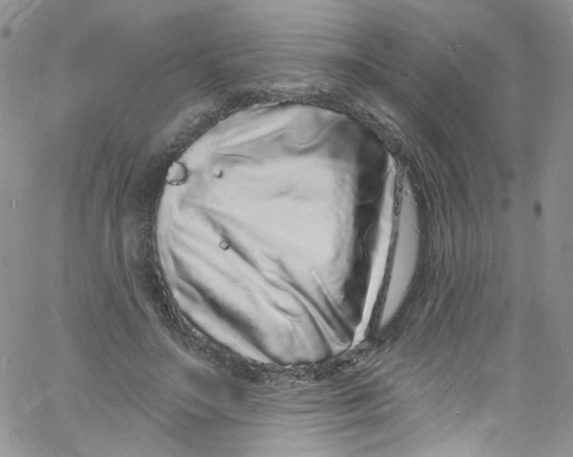 X0000060810499200512082218