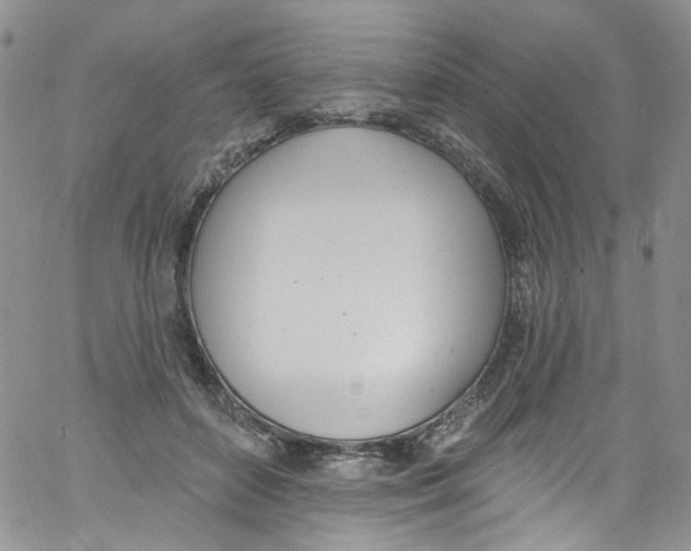 X0000060810504200512082218