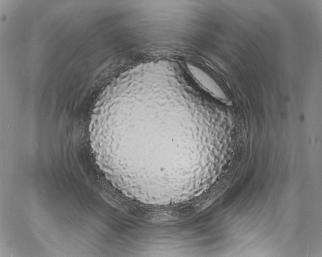 X0000060810507200512082218