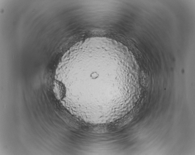X0000060810511200512082218