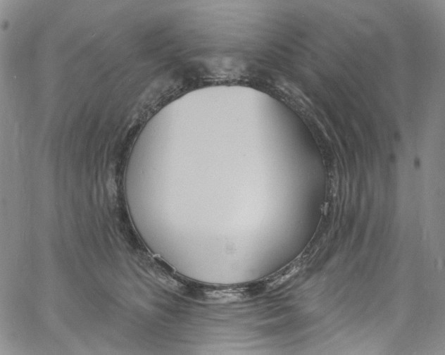 X0000060810516200512082218