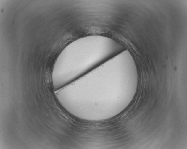 X0000060810517200512082218