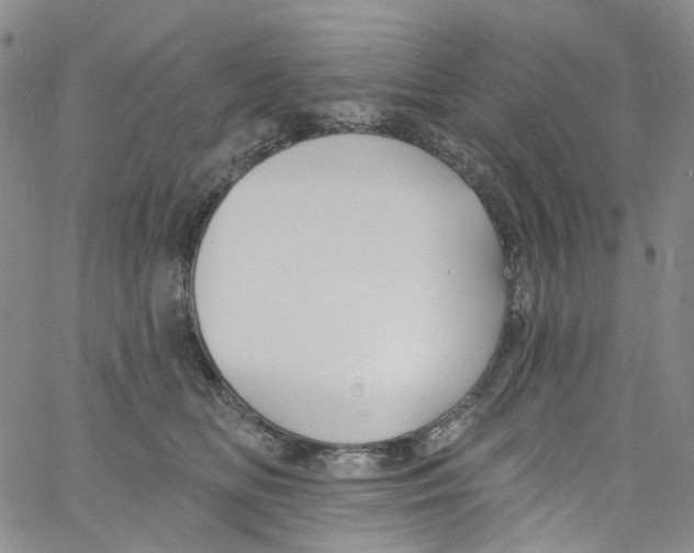 X0000060810518200512082218