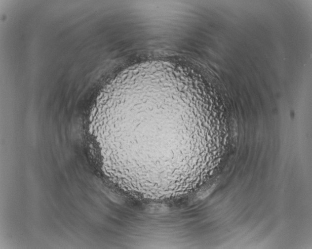 X0000060810519200512082218