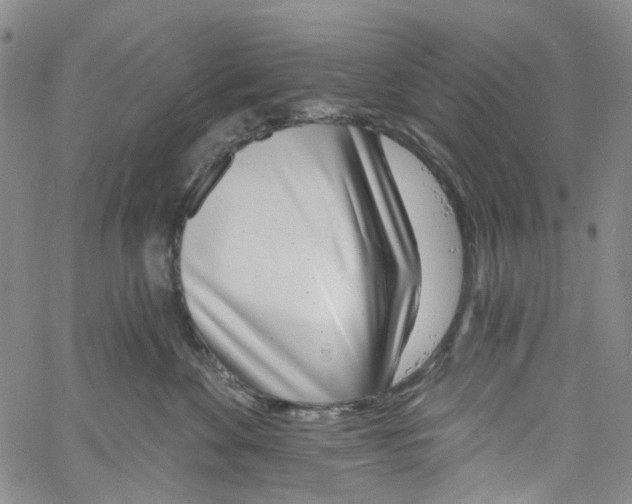 X0000060810524200512082218