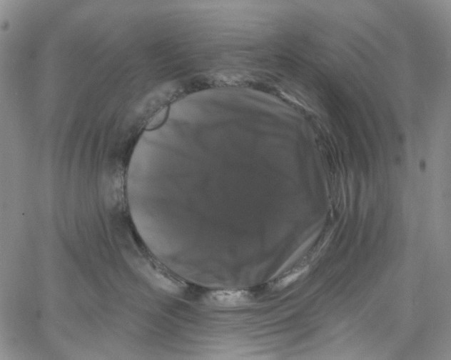 X0000060810526200512082218