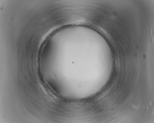 X0000060810532200512082217