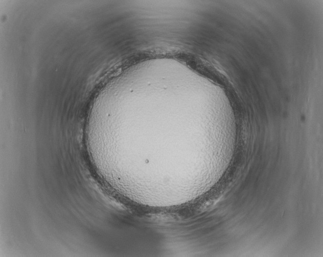 X0000060810545200512082217