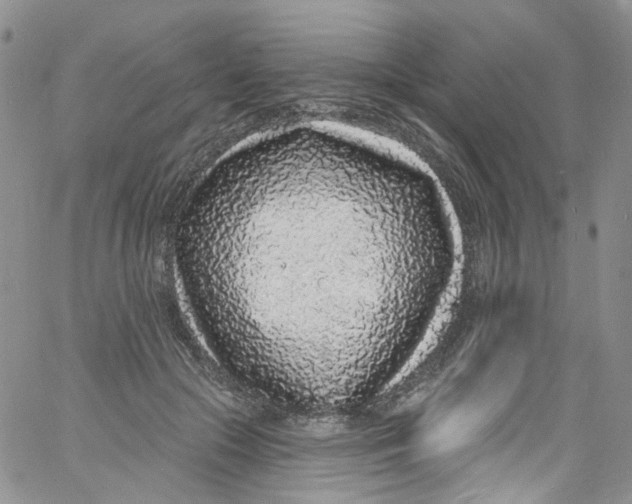 X0000060810553200512082218