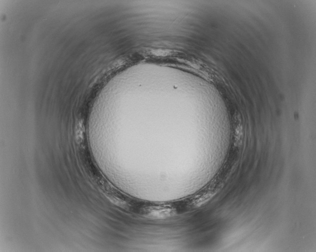 X0000060810555200512082218
